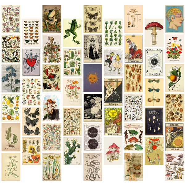 GROBRO7 50Pcs Vintage Botanical Wall Collage Kit, Aesthetic Picture Indie Room Decor, Art Posters for Dorm Wall Decor, Wall Art Prints for VSCO Girls Boys, Bedroom Decor for Primitive Creature Lovers